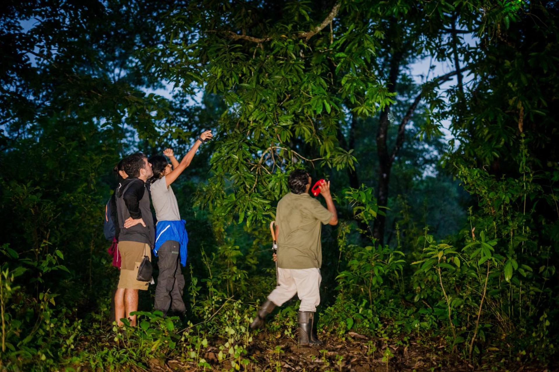 Nature'S Nest Eco Resort Goa, Near Dudhsagar Waterfalls Molem 外观 照片