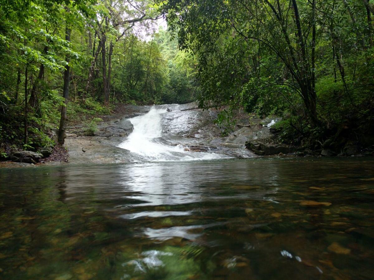 Nature'S Nest Eco Resort Goa, Near Dudhsagar Waterfalls Molem 外观 照片